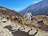 Annapurna trek